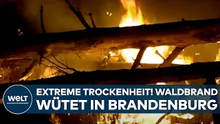 DEUTSCHLAND: Extreme Trockenheit! Waldbrand in Brandenburg - Löschflugzeuge bei Jüterborg im Einsatz