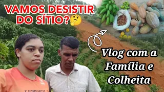 DEPOIS DA FORTE CHUVA E O DESLIZAMENTO DE TERRA VAMOS DESISTIR DO SÍTIO?🤔VLOG DE COLHEITAS