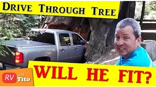 STUCK In a Drive Through Tree? - California Redwoods