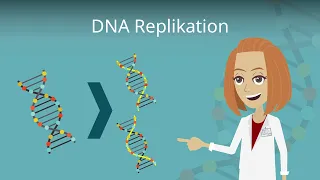 DNA Replikation einfach erklärt!