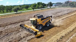 Žně 2023 | AGRO Sedlice | New Holland CX8.80 & CX8080, 2x Tatra 815