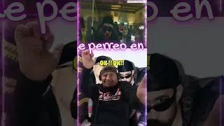 Ñengo Flow & Bad Bunny "Gato De Noche" Reaccion  Reaction