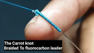 The Carrot knot Braided To fluorocarbon leader || fishing knots