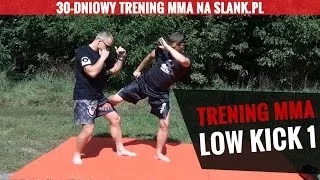 (1) Trening Sztuk Walki - kopnięcia - low kick