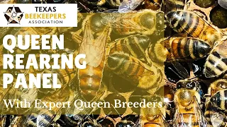 Queen Rearing Panel Discussion at the Texas Beekeepers Association June 2019