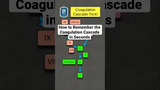 How to Remember the Coagulation Cascade in Seconds! [Pathway Made Easy]