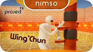 PROJECT TX - Wing-Chun in VR - The need for physics arms!