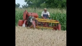 Aratás Massey-Ferguson 630S (2013)