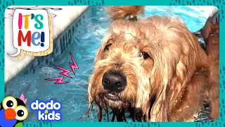 This HUGE Dog Is Scared Of FLOORS?! | Dodo Kids | It's Me!