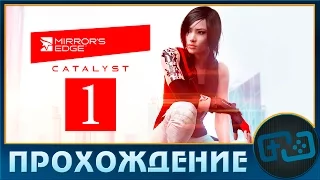 Прохождение Mirrors Edge Catalyst - PC - Серия 1: Пластик и ее убежище