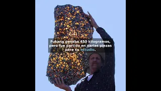 Meteorito de Fukang, un juglar del universo