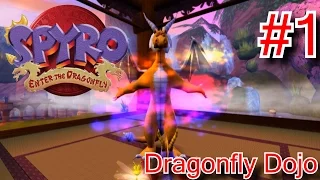 PS2: Let's Re - Play Spyro 4 Enter The Dragonfly Part 1: Dragonfly Dojo (1/2) (With Commentary)