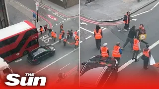 Angry passer-by shoves Just Stop Oil activist to the ground in London