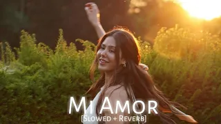 Mi Amor (Oh Gabru Nu Billo Kehre Chakra Ch Paya) | Ft. Sonam Bajwa | Sharn | Slowed + Reverb | 40 K