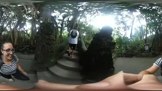 Sacred Monkey Forest in Ubud, Bali, Indonesia in 360