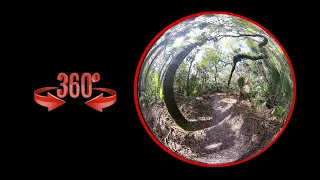 360° Camera Fun: A Day walking in the Park!