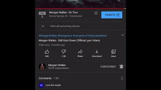 Morgan Wallen - still going down (1 hour)