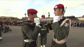 Nationalfeiertag 2017 - Vorführungen der Garde am Heldenplatz