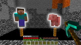Minecraft: Steve OR Pig??? #shorts