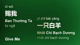 赐我 (Ban Thưởng Ta/Cì Wǒ/Give Me) - 一只白羊 (Nhất Chỉ Bạch Dương/Yī Zhǐ Bái Yáng) engsub pinyin #gcthtt