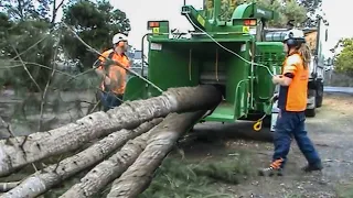 Dangerous Huge Wood Destroy Chipping Machines Working, Biggest Stump Removal Tree Grinding Equipment