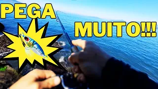 SUCESSO NA PESCARIA! USE ESTA ISCA NA PESCA DE PRAIA E PEDRA!