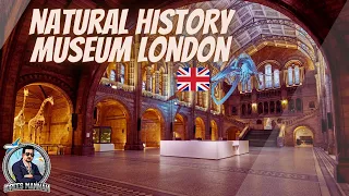 Natural History Museum I London I August 2023 I Idrees Mannan I VLog # 76