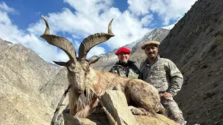 Astore Markhor: The Majestic Mountain Goat
