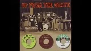 Various ‎– Up From The Grave : 60's Garage Rock North Californian Bands Psych Fuzz Music Compilation