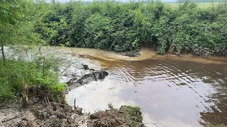 Beaver Dam Removal x 2