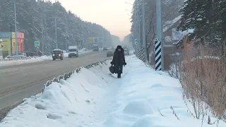 В Бийске наступило время козьих троп (Будни, 18.12.19г., Бийское телевидение)