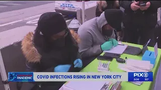 COVID infections rising in New York City
