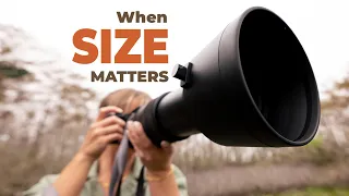 WHY WOULD SIZE MATTER? Testing the Sigma 60-600mm lens for wildlife photography