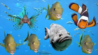 Fishy, Fishy. Fish Mcbites, Fishy Mcbites music video commercial for mcdonalds fish mcbites!