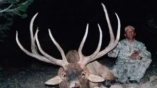 390" B&C Pahvant Bull Elk Hunt - MossBack