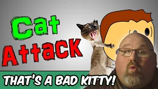 THAT'S A BAD KITTY! | Brewstew - Cat Attack REACTION!!