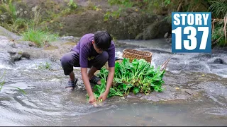 [Story 137] Harvesting choy sum and catching tilapia in the fishpond | Cooking sinigang and ginataan