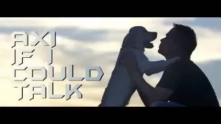 IF I COULD TALK / BEST DOG FILM / OFFICIAL VIDEO [  New  ]