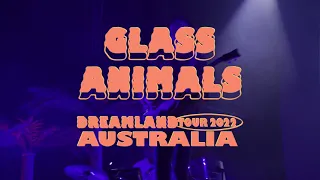 Glass Animals 2022 'Dreamland' Tour