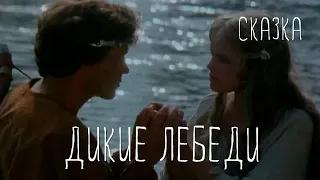 Дикие лебеди (1987) Фильм Хелле Карис. Фильм с Катри Хорма, Юрис Жагарс, Андрейс Жагарс. Семейный.