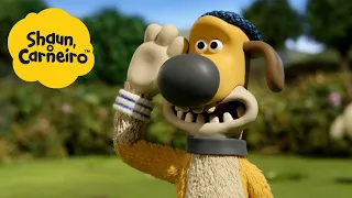 🐑Shaun, o Carneiro [Shaun the Sheep] Sim cachorro 🐑 Hora Especial🐑| Cartoons Para Crianças