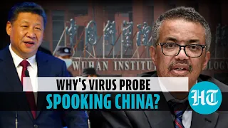 Watch China's reaction to WHO's plan for audit of Chinese labs to find Covid origin
