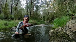 Catching Brown Trout on Small Creeks | Fly Fishing | Victoria, Australia