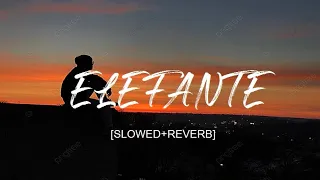 NK - ELEFANTE(Slowed + Reverb) | D-SOUNDS Production #dsounds1