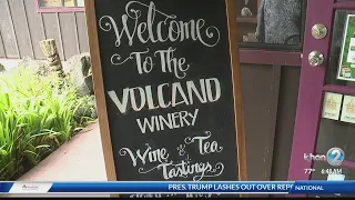 Hawaii Island Week: Volcano Winery