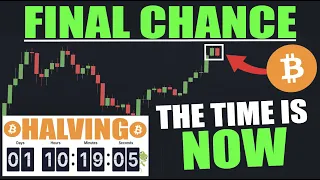 Bitcoin BTC: IT'S TIME! - Can The Halving Trigger A HUGE PUMP?