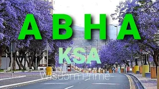 ABHA | Saudi Arabia's most stunning place to visit | most dangerous roads in abha saudi arabia