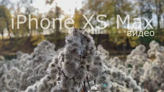 Большой обзор камеры iPhone XS Max. #2 Видео.
