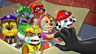 Brewing Baby Cute, But Paw Patrol  Pregnant - Paw Patrol The Mighty Movie - Rainbow 3