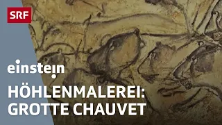 Höhlenmalereien in der Grotte Chauvet & Anatomie der Paviane | Einstein | SRF